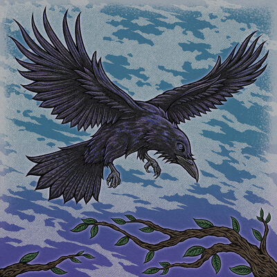 Raven, one of the Nine Narrators.